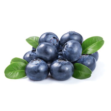 Mesin penilaian blueberry paling efektif